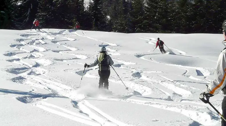 Beginner skiing off piste powder