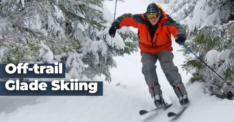 Skier skiing the glades, in the woods